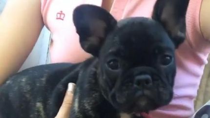 Martha fue robada el 15 de junio en Temperley.