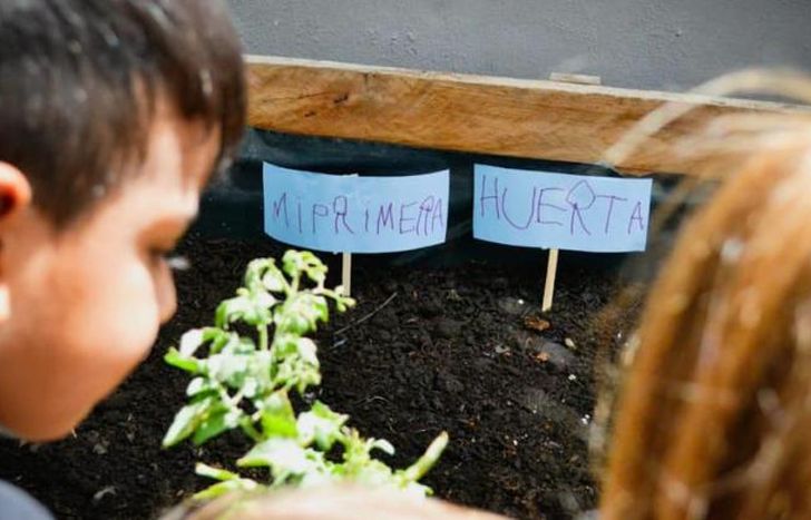El jardín tiene una huerta que fue creada el año pasado.