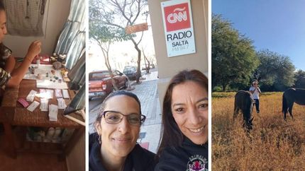 Una alternativa para saber más sobre nuestros peluditos.