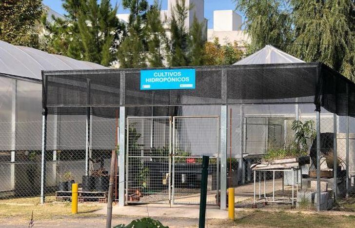 Si el contexto sanitario lo permite, habrá clases presenciales.