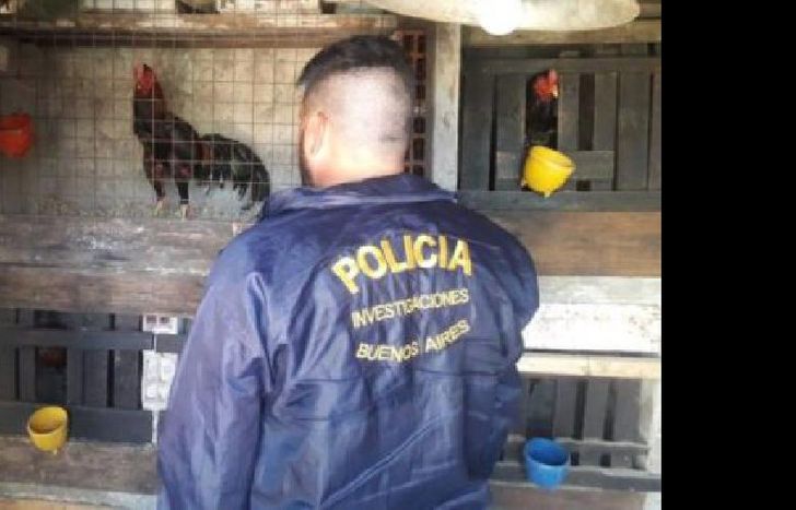 Había varia denuncias contra el predio allanado.