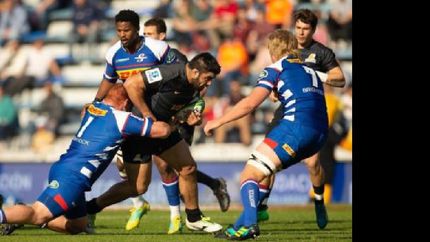 jaguares: las chances estan intactas