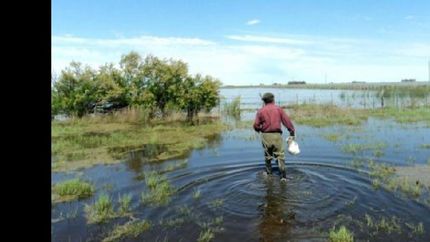 declaran la emergencia agropecuaria en las provincias afectadas por las inundaciones