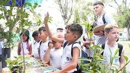 Hay talleres de reciclado, compostaje, huerta y forestación.