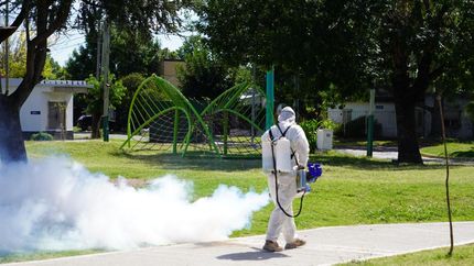 en lomas, refuerzan la fumigacion frente a la ola de mosquitos