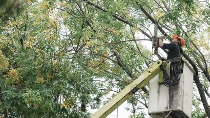 El objetivo es que las calles estén más iluminadas.