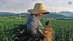 Día Internacional de la Mujeres Rurales