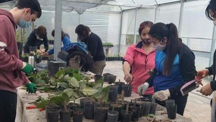 Hay un abanico de opciones.