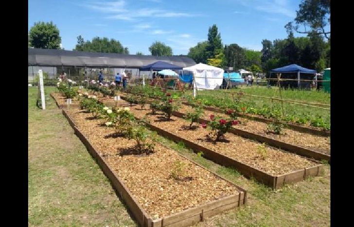 Hay que presentarse de 10 a 13 en Frías 1475.