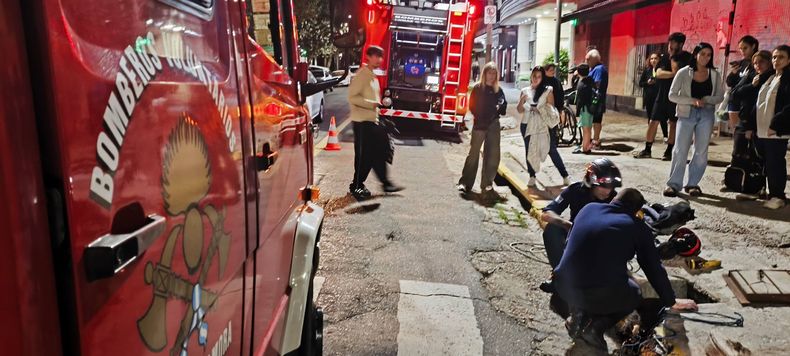 Los Bomberos de Lomas de Zamora rescataron al perro.