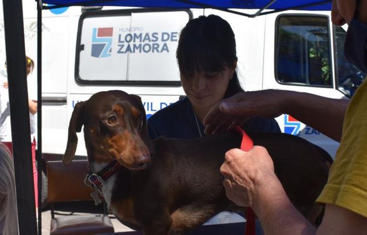 Durante uno de los operativos barriales.