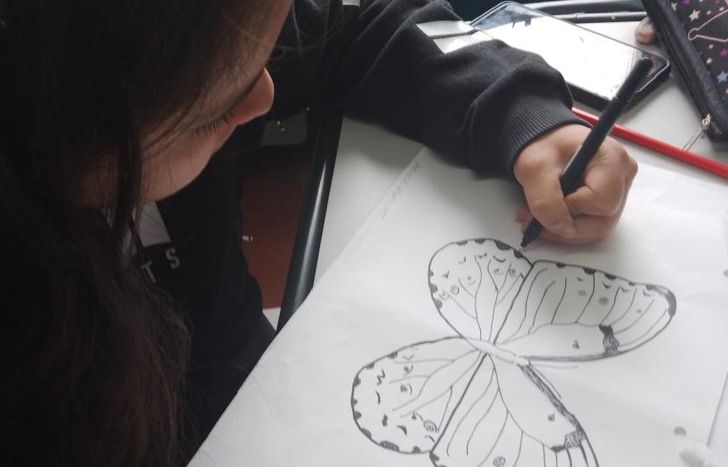 Mariposas de nuestra tierra es el tercer libro que saca la escuela.
