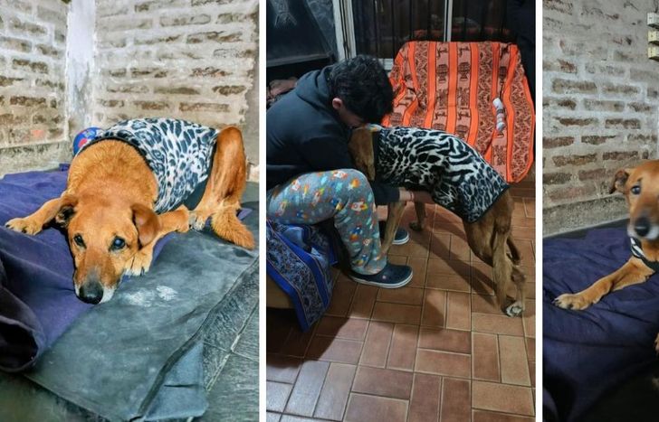 Bajo techo y con amor de familia.