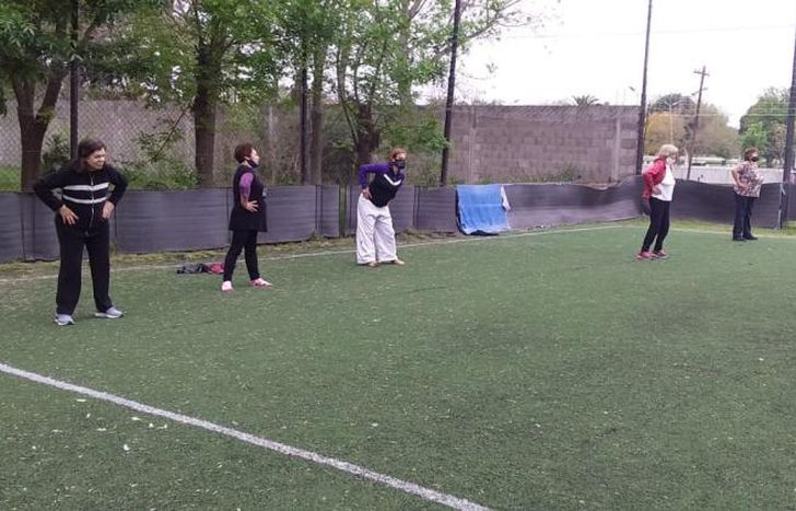 56536.jpg