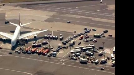 El vuelo llegó desde Dubai.