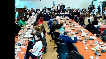 La Fundación participó del debate de la ley de Interrupción Legal del Embarazo (ILE).