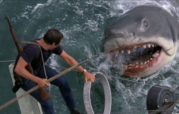 Tiburón, un clásico.