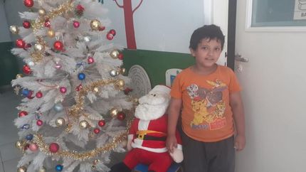 Diario La Unión | Por una Navidad y Año nuevo sin pirotecnia.