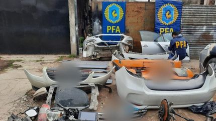 Imágenes del operativo.