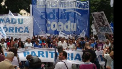 plebiscito de docentes universitarios: ¿que deciden?
