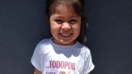 Necesitan comprar alimentos costosos para Sofi.