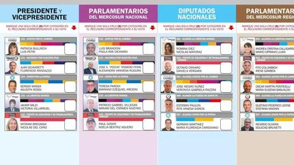En una única boleta se presentan todos los candidatos.