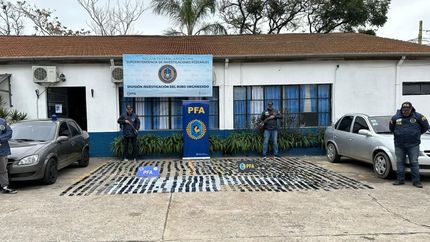 Los celulares secuestrados en los operativos.