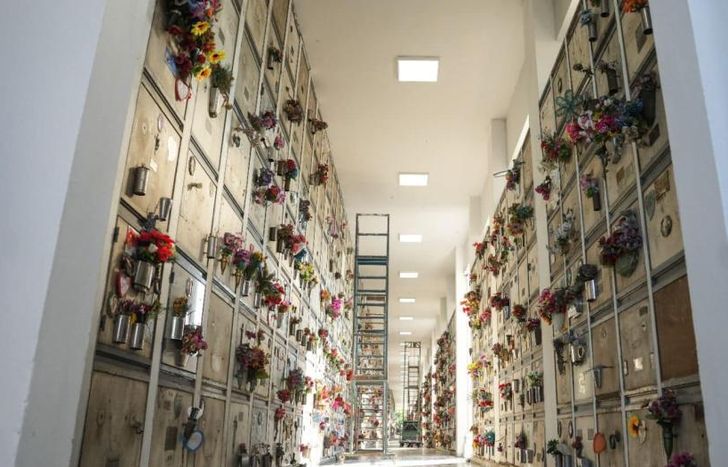 Hubo reparación de luminarias, pintura, herrería y señalización.