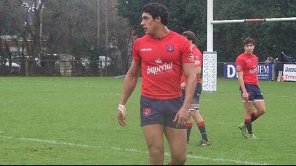 la pantera se mudo a canada