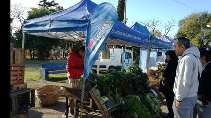 venta de productos a precios accesibles en lomas