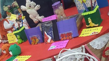 Quieren sumar rubros a la feria.