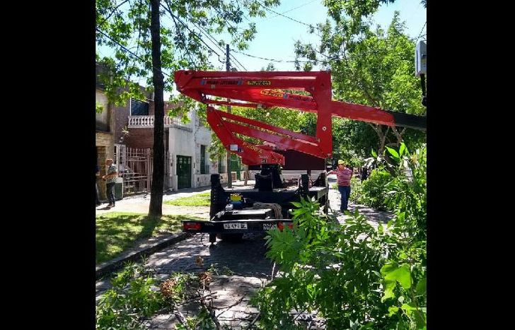 Se utilizaron hidroelevadores y motosierras.