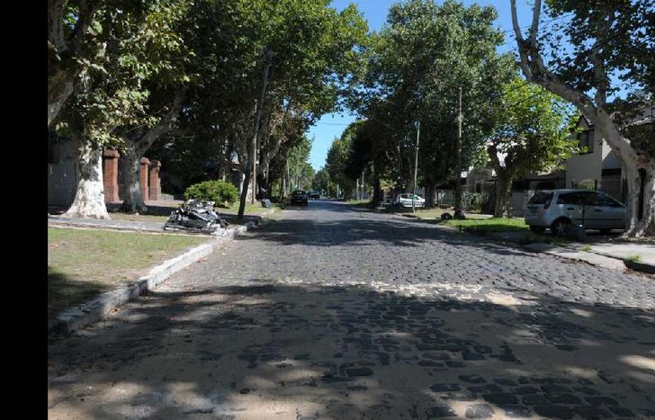 EN ALVEAR, ENTRE LAS HERAS Y LARREA, SE REPARA EL ADOQUINADO.