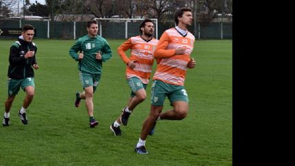 ¿regresa sin novedades?