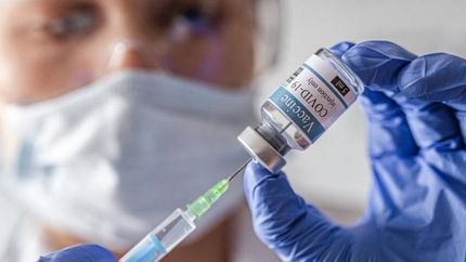 Aseguran que es una carrera contra el tiempo.