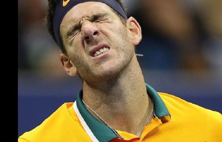 Del Potro entregó todo, pero nada pudo hacer frente a la solidez de Djokovic.