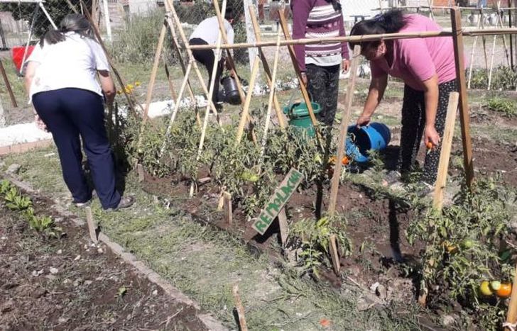 La huerta fue el producto de un trabajo conjunto.
