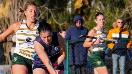 Knobl concentrará con las Leoncitas.