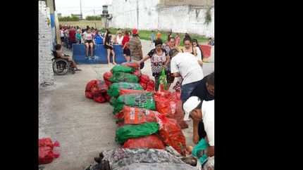 todos los lunes y miércoles regalan bolsas con verduras.