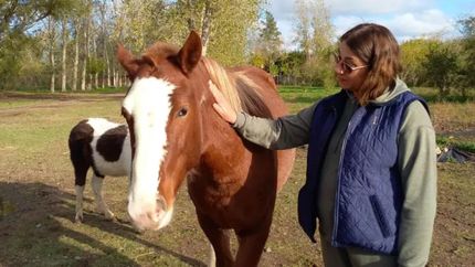 La ONG está disponible para visitar las escuelas de Lomas.