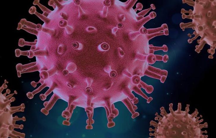 La función de los ovarios se ve afectada por el Covid-19.