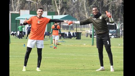como es el trabajo en ?burbuja? que lleva adelante banfield