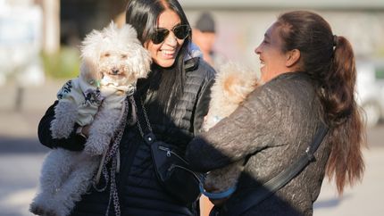En Banfield habrá diferentes actividades para los vecinos y sus mascotas. En Banfield habrá diferentes actividades para los vecinos y sus mascotas.