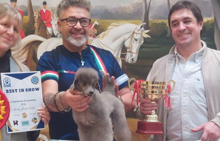 Un caniche de 8 años se llevó el primer premio.