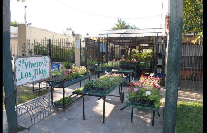 El vivero revalida su rol social con actividades.