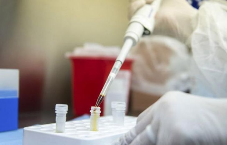 Los resultados surgen del análisis de más de 3 mil muestras.