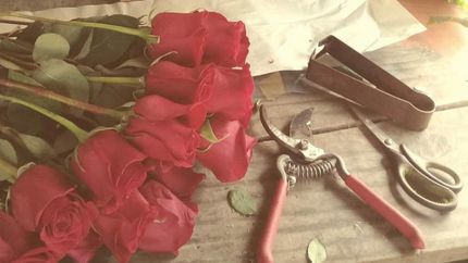 Las rosas fueron lo más buscado para regalar en un día especial.