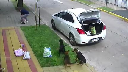 El dramático momento quedó grabado en una cámara de seguridad.