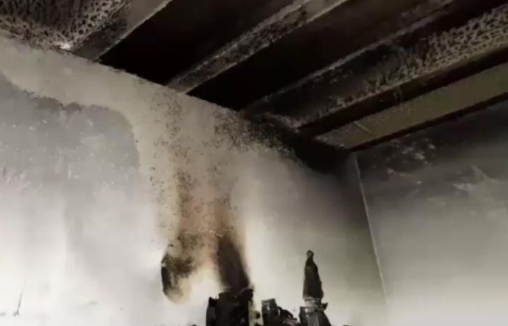 Las llamas fueron apagadas antes de que se propaguen en el resto de la propiedad.