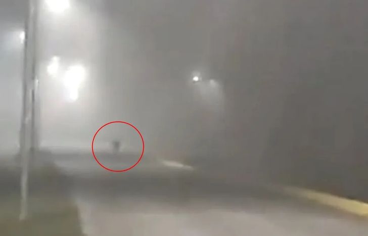 A cuatro años de la misteriosa aparición de un duende en la UNLZ.